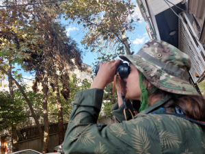 سفر علمی برای پرنده نگری